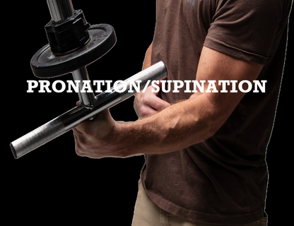 The Strong Arm - Forearm and Wrist Bar
